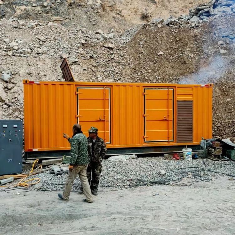 定远如何降低 200kW 柴油发电机在高海拔地区的油耗？